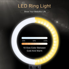 Load image into Gallery viewer, Mini LED Video Selfie Ring Light With Tripod
