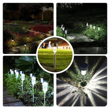 Load image into Gallery viewer, 30 Pack Solar Outdoor Lights
