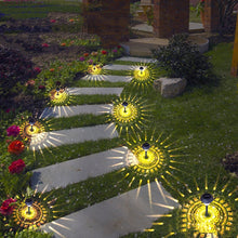 Load image into Gallery viewer, Solar Garden Shallow Lights
