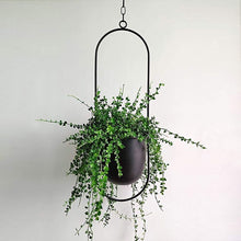 Load image into Gallery viewer, Metal Chain Hanging Plant Pot - lanceinternetenterprises
