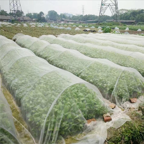 Garden Vegetable Insect Net Cover - lanceinternetenterprises