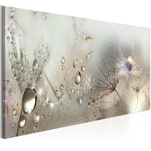 Load image into Gallery viewer, Water Drops Dew Beads Print Canvas Painting - lanceinternetenterprises
